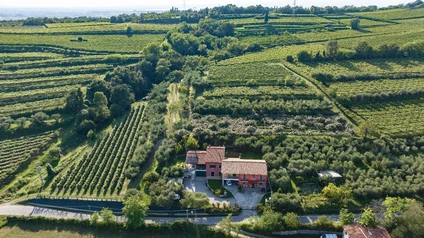 Degustazione Olio Extravergine del Garda: Tour Panoramico ed Esperienza Sensoriale 19 Degustazione Olio Extravergine del Garda: Tour Panoramico ed Esperienza Sensoriale 19